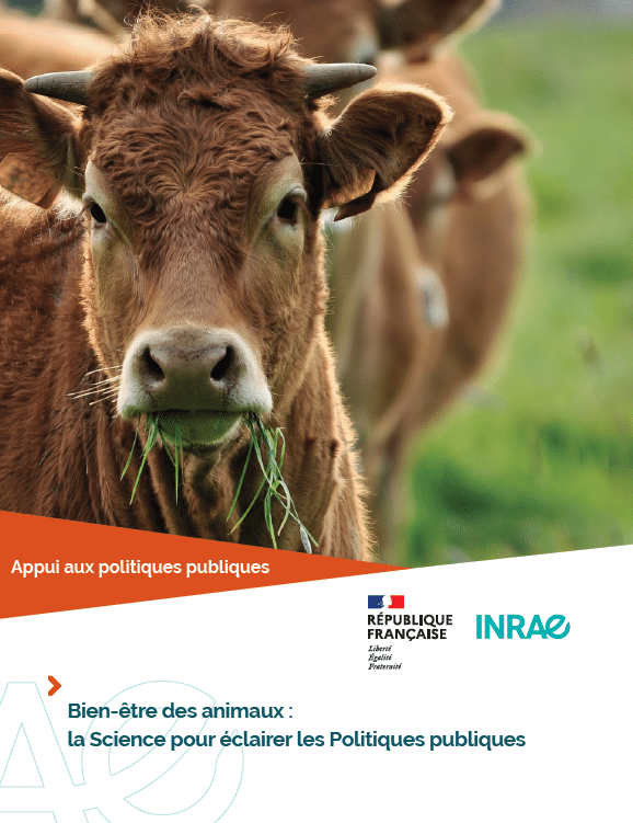 dossier valorisation DAPP INRAE bien-être animal