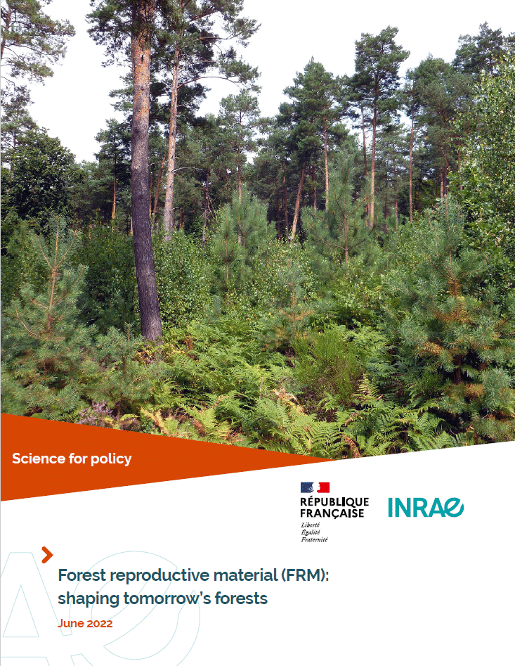 Forest reproductive material: a challenge for tomorrow’s forests