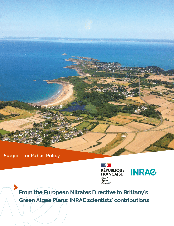 From the European “Nitrates” Directive to green algae plans in Brittany: INRAE scientists’ contributions
