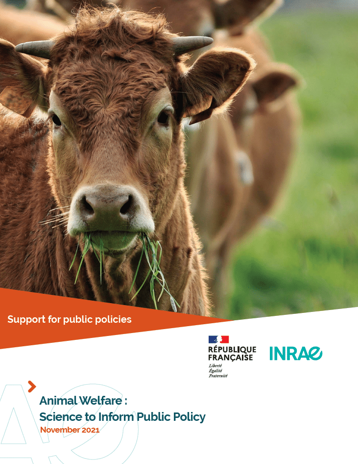 Animal welfare: science for public policy