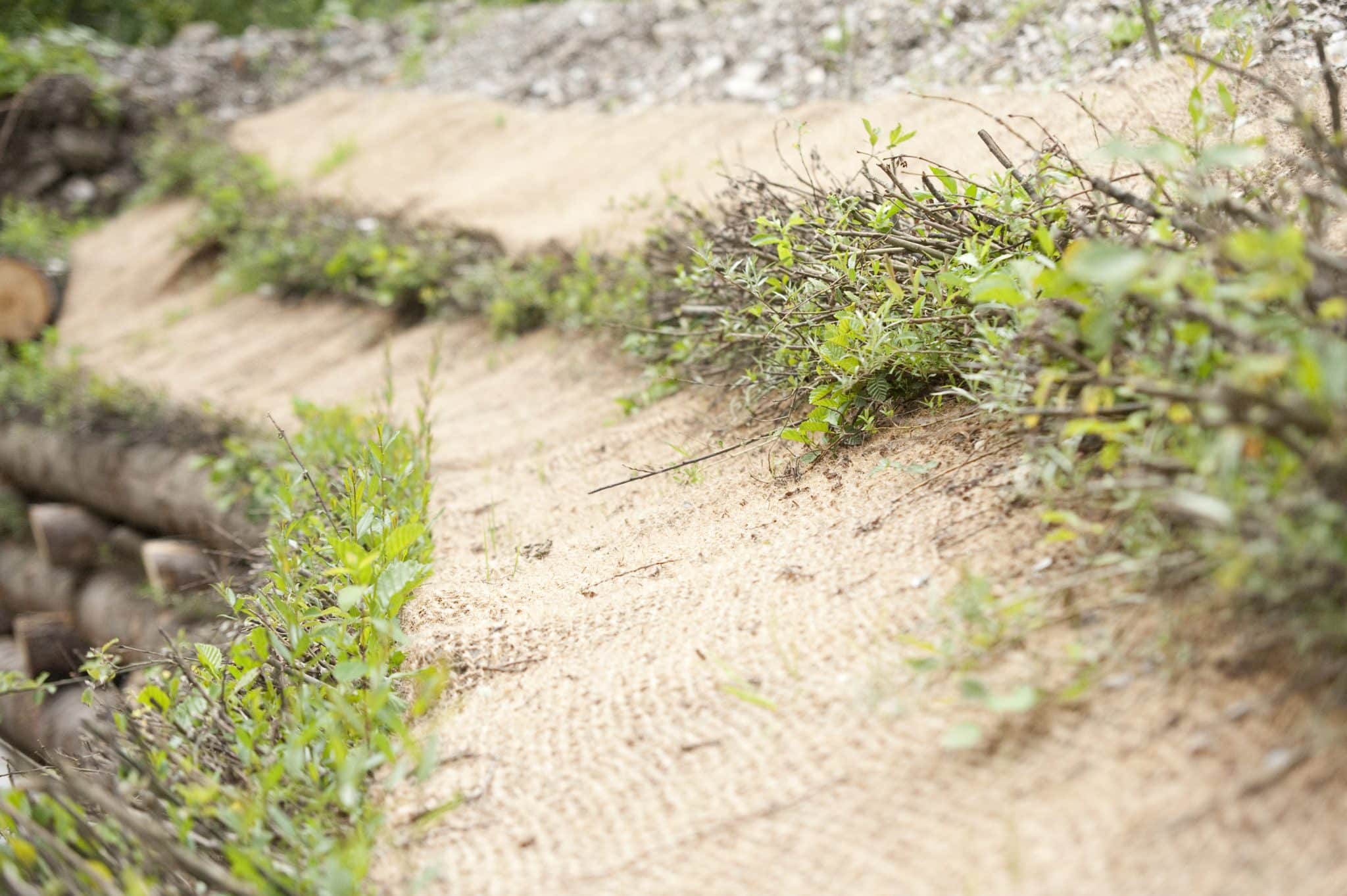 Un guide pour la stabilisation et la restauration des berges