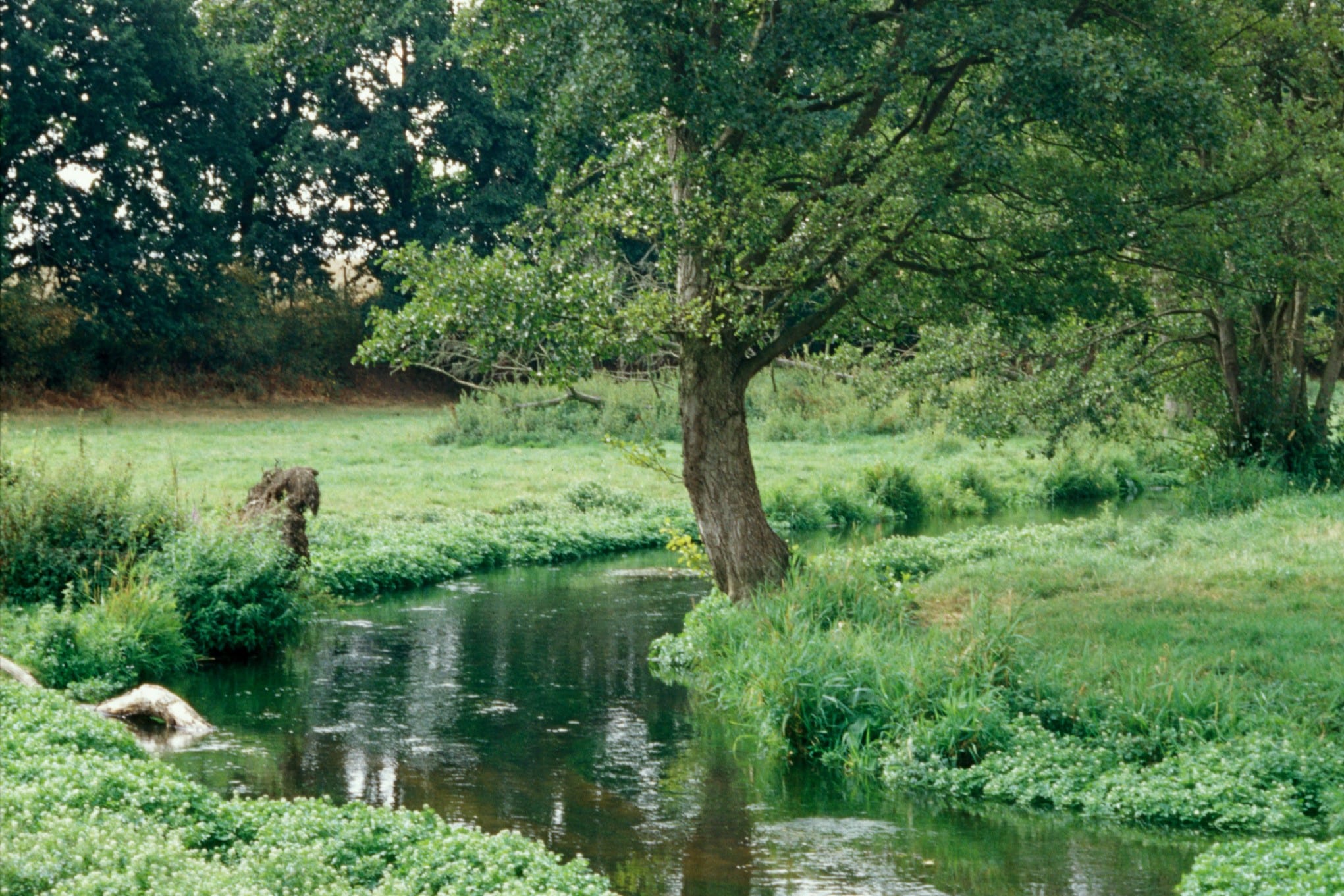Exercer la GEMAPI dans le cadre d’une gestion globale de l’eau – participez au séminaire de clôture